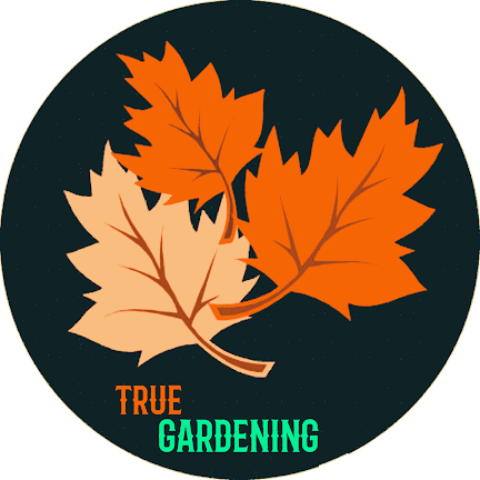 Marigold F1 Hybrid Mix | Pack of 100 Seeds | Imported Variety